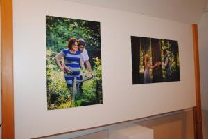 Filip Eremita najboljše posnetke naredi v zgodnjih jutranjih urah 3